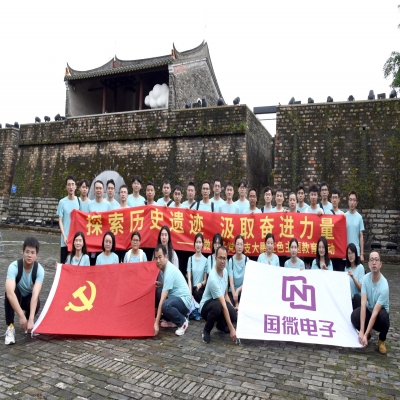 探索歷史遺跡，汲取奮進(jìn)力量——國微電子黨總支大鵬紅色主題教育活動